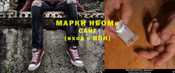 хмурый Абаза