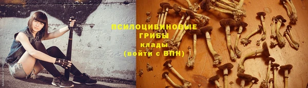 героин Алзамай
