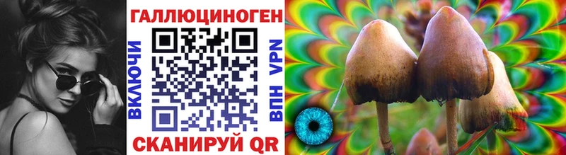 дарнет шоп  Ипатово  Псилоцибиновые грибы мицелий 