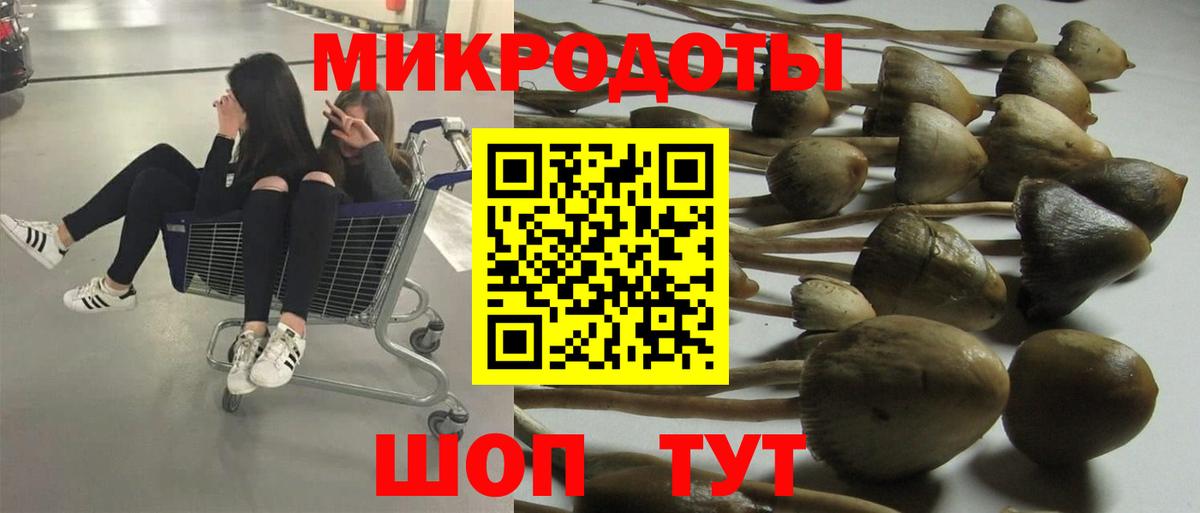 Псилоцибиновые грибы мухоморы  Вход с VPN  Галлюциногенные грибы GOLDEN TEACHER  Ипатово 
